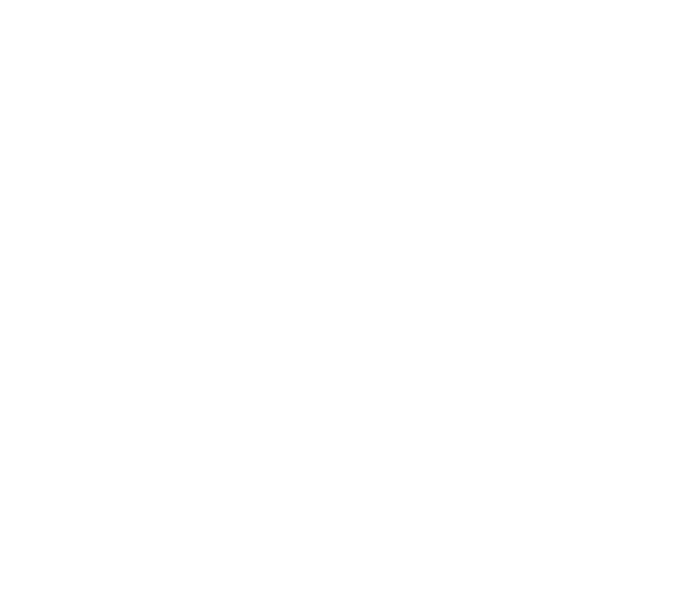 Brodie Logo